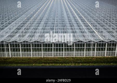 VENLO - Ein Drohnenfoto vom Gewächshaus-Gartenbau in Venlo. Viele Gärtner mit Gewächshäusern laufen wegen der hohen Energiepreise Gefahr, in finanzielle Schwierigkeiten zu geraten. ANP / Hollandse Hoogte / Rob Engelaar niederlande Out - belgien Out Stockfoto