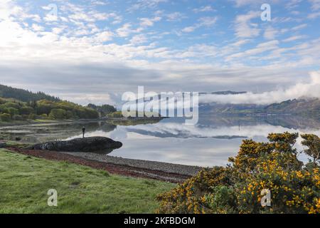 Loch Sunart Reflections von der Küste aus gesehen in Resipole, Ardnamurchan, Schottland, Großbritannien Stockfoto