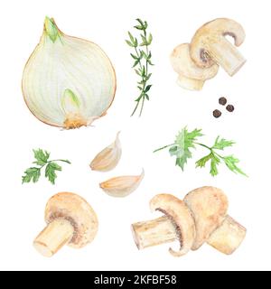 Handgezeichnete Aquarellzwiebeln und grüne Petersilienblätter isoliert auf weißem Hintergrund Stockfoto
