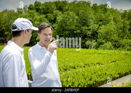 DENPASAR - Premierminister Mark Rutte besucht am zweiten Tag des Gipfeltreffens G20 eine Mangrovenfarm. Während des Gipfels werden die größten Volkswirtschaften Themen wie Finanzstabilität, Wirtschaftswachstum und Ernährungssicherheit diskutieren. Der Premierminister und Minister Sigrid Kaag (Finanzen) sind im Namen der niederländischen Regierung anwesend. ANP ROBIN VAN LONKHUIJSEN niederlande Out - belgien Out Stockfoto