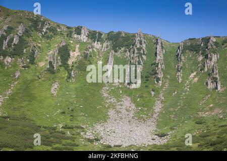 Steine und Felsen des Shpytsi-Berges inmitten von grasbewachsenen Berghügeln, bedeckt mit grünem, üppigem Gras. Karpaten, Chornogora, Ukraine Stockfoto