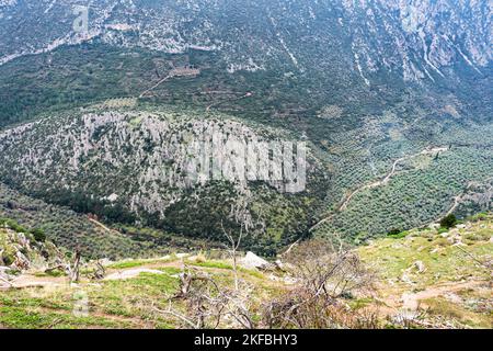 Blick hinunter in das Tal der Olivenhaine von Delphi Griechenland mit Bergen im Hintergrund Stockfoto