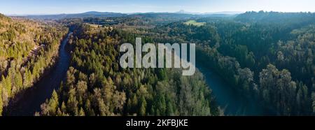 Eine Luftaufnahme zeigt, wie der Sandy River in der Nähe von Mount Hood, Oregon, durch einen gesunden Wald fließt. Wälder bedecken weite Landstriche in ganz Oregon. Stockfoto