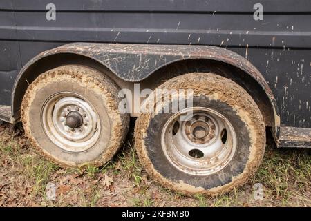 Schlammige Reifen eines Rindes oder Pferdes, der auf Gras sitzt, mit Schlamm, der seitlich nach oben gespritzt ist Stockfoto