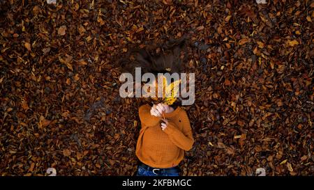 Das brünette Weibchen hält das gelbe Ahornblatt in der Hand, während es auf dem Boden liegt, bedeckt mit herbstlich trockenen Blättern Stockfoto