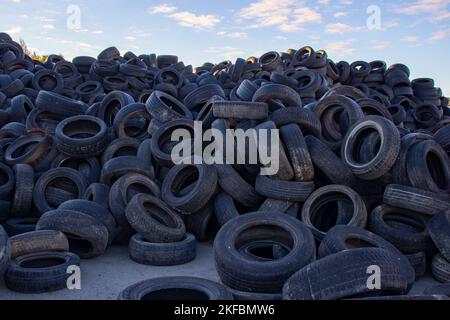 Deponie mit alten Reifen und Reifen zum Recycling. Wiederverwendung von Altgummireifen. Entsorgung gebrauchter Reifen. Gebrauchte Räder zum Recycling. Stockfoto