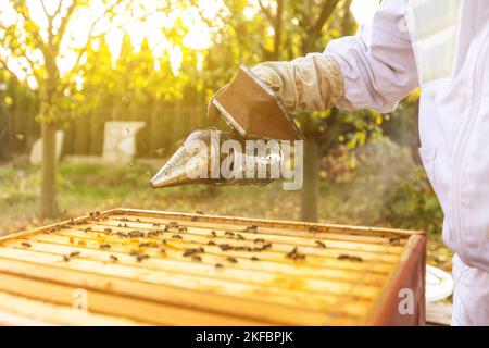 Imker auf einem Imkerei arbeitet Imker mit Bienen und Bienenstöcken am Imkerei-, Imkerei- oder Imkerei-Konzept Stockfoto