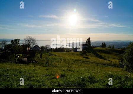 Sonniger Alpenblick vom Eichenberg in den österreichischen Alpen und der deutschen Seite des Bodensees mit der Insel Lindau in der Abendsonne im Frühjahr Stockfoto