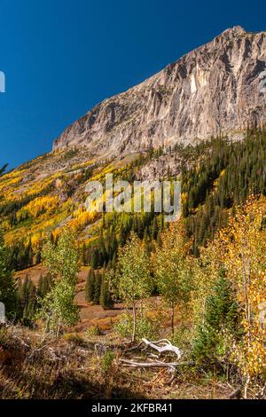 Golden Aspen Bäume vor einem wunderschönen zerklüfteten Berg in der Nähe von Crested Butte, Colorado. Stockfoto