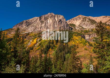 Goldene Aspen und die Grüns der Evergreens schaffen einen lebendigen Farbteppich in den Colorado Bergen in der Nähe von Crested Butte. Stockfoto