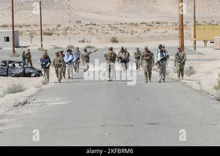 Führungskräfte aus den Bereichen Bildung, Wirtschaft und Unterhaltung aus Las Vegas nehmen am 3. September an einer Patrouillenfahrt in Fort Irwin, Kalifornien, Teil, während der Distinguished Visitor Immersion Box Tour. Stockfoto