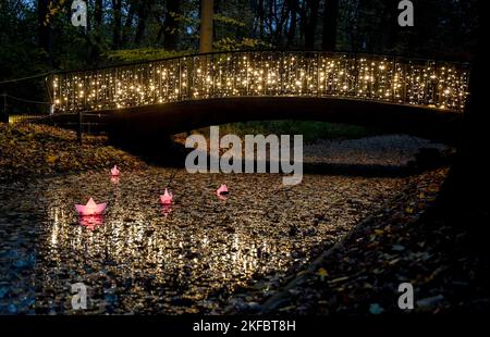 Berlin, Deutschland. 17.. November 2022. Eine Lichtinstallation bei der Attraktion „Weihnachten 2022 im Zoo“. Vom 18. November 2022 bis zum 15. Januar 2023 können Besucher auf einem beleuchteten Rundweg mit Projektionen und Millionen von Lichtern in den weihnachtlichen Geist eintauchen. Kredit: Britta Pedersen/dpa/Alamy Live Nachrichten Stockfoto