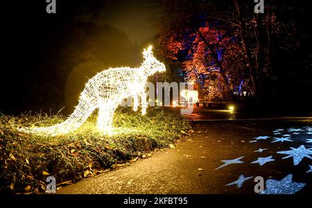 Berlin, Deutschland. 17.. November 2022. Eine Lichtinstallation bei der Attraktion „Weihnachten 2022 im Zoo“. Vom 18. November 2022 bis zum 15. Januar 2023 können Besucher auf einem beleuchteten Rundweg mit Projektionen und Millionen von Lichtern in den weihnachtlichen Geist eintauchen. Kredit: Britta Pedersen/dpa/Alamy Live Nachrichten Stockfoto