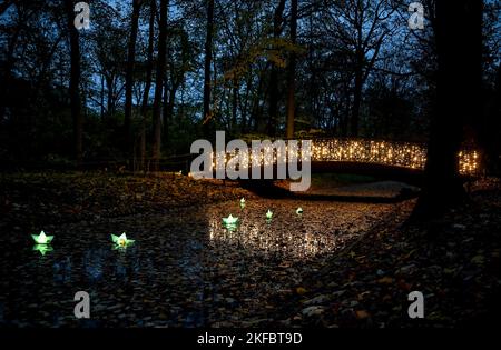 Berlin, Deutschland. 17.. November 2022. Eine Lichtinstallation bei der Attraktion „Weihnachten 2022 im Zoo“. Vom 18. November 2022 bis zum 15. Januar 2023 können Besucher auf einem beleuchteten Rundweg mit Projektionen und Millionen von Lichtern in den weihnachtlichen Geist eintauchen. Kredit: Britta Pedersen/dpa/Alamy Live Nachrichten Stockfoto