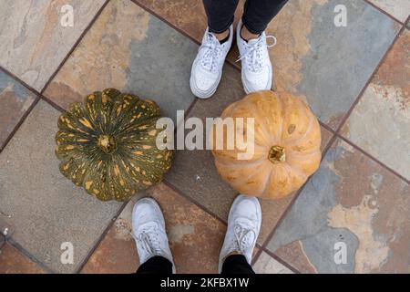 Hände des alten Bauern heben über seinen Kopf großen Kürbis auf Gartenbeet Erntekonzept Stockfoto