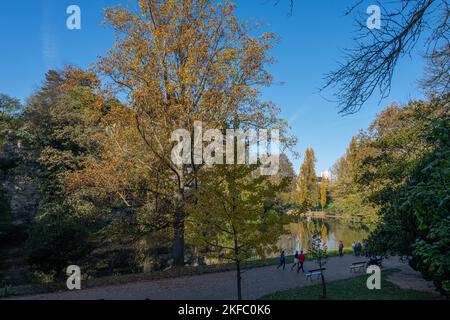 Park des Buttes Chaumont. Nahaufnahme eines schönen Baumes Stockfoto