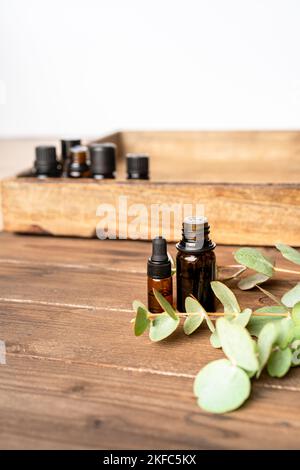 Ätherische Öle in kleinen Glasflaschen mit Eukalyptus-Zweige auf unscharfem grauen Hintergrund. Selektiver Fokus- und Kopierbereich für Text. Naturkosmetik pro Stockfoto
