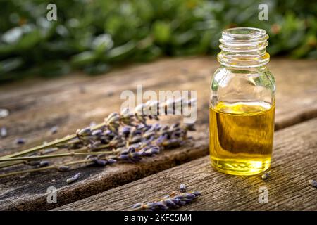 Ätherisches Öl in einer kleinen Glasflasche mit Lavendelsprossen auf verschwommenem grünem Hintergrund. Selektiver Fokus- und Kopierbereich für Text. Naturkosmetik p Stockfoto