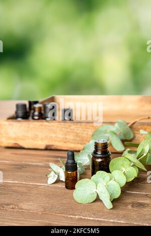 Ätherische Öle in kleinen Glasflaschen mit Eukalyptus-Zweige auf verschwommenem grünem Hintergrund. Selektiver Fokus- und Kopierbereich für Text. Naturkosmetik PR Stockfoto