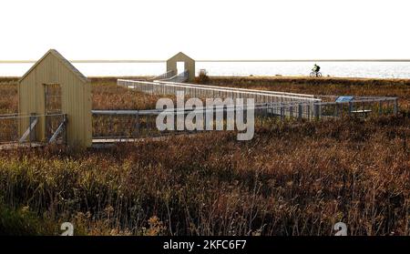 Alviso Marina County Park, Alviso, Kalifornien Stockfoto