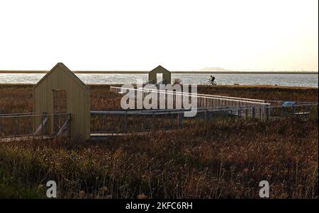 Alviso Marina County Park, Alviso, Kalifornien Stockfoto