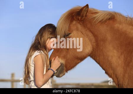 Mädchen mit Islandpferd Stockfoto