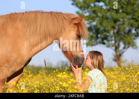 Frau und Islandpferd Stockfoto