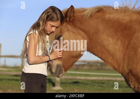 Mädchen mit Islandpferd Stockfoto