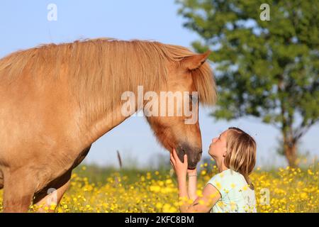 Frau und Islandpferd Stockfoto