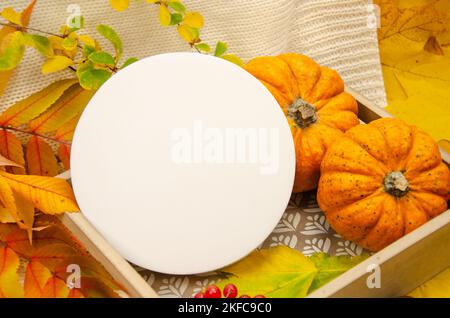 Nahaufnahme weiße runde Schablone rundes Modell auf einem Hintergrund in gelb-orangenen Rottönen: Weiße karierte Kürbisse Blätter Beeren. Stockfoto