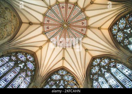 Fan - Gewölbedecke des Chapter House, York Minster, North Yorkshire, England Stockfoto