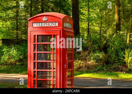 Warminster, England - Mai 2022: Alte rote Post-Telefonbox in einem bewaldeten Gebiet. Keine Personen. Stockfoto