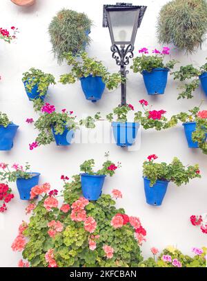 Geranien in blauen Blumentöpfen Granada, Andalusien, Spanien Stockfoto