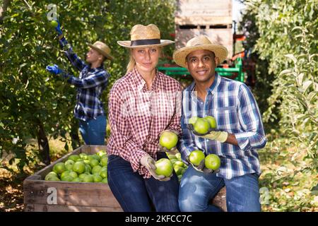 Bauern mit grünen Äpfeln zufrieden mit der Ernte Stockfoto