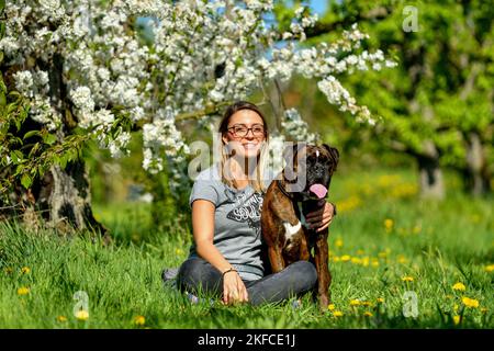 Frau mit deutschem Boxer Stockfoto