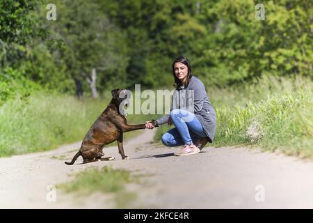 Frau und deutsche Boxer Stockfoto