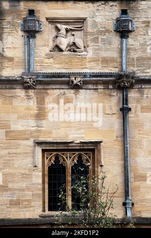 Wappen eines hirsches oder Hirsches an einer Wand am Magdalen College, Oxford University, England Stockfoto