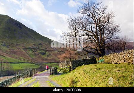 Fußweg von Haywater nach Hartsop Village, Januar, Patterdale Area, Lake District National Park, North East Lake District Cumbria en Stockfoto