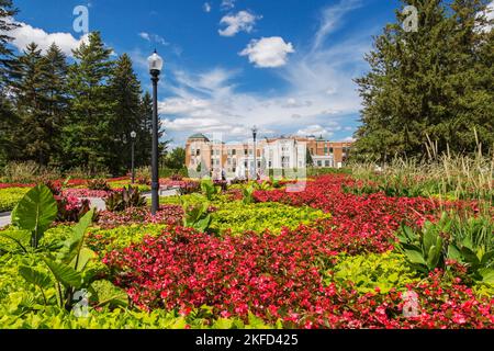 Rote Begonia-Blumen, Colocasia - Elefantenohren, Canna - Indische Kugelstoßen-Pflanzen in den Eingangsgärten, Montreal Botanical Garden, Quebec, Kanada. Stockfoto