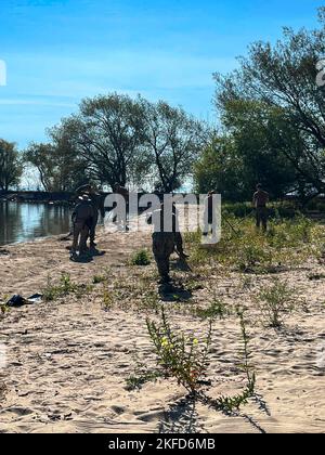 TOLLE SEEN, Il. (Sept. 8, 2022) Seeleute, die an die Naval Station Great Lakes und Pächterkommandos angegriffen wurden, nehmen an einer Strandreinigung auf der Basis Teil. NSGL wurde 1911 eröffnet und ist die größte Trainingsanlage der Marine und das einzige Boot Camp der Marine. Die Anlage liegt auf über 1600 Hektar mit Blick auf den Lake Michigan und umfasst 1.153 Gebäude mit 39 im National Register of Historic Places. NSGL unterstützt über 50 Kommandos und Elemente von Mietern sowie über 20.000 Matrosen, Marineinfanteristen, Soldaten und Zivilpersonen des Verteidigungsministeriums, die an der Installation leben und arbeiten. Stockfoto