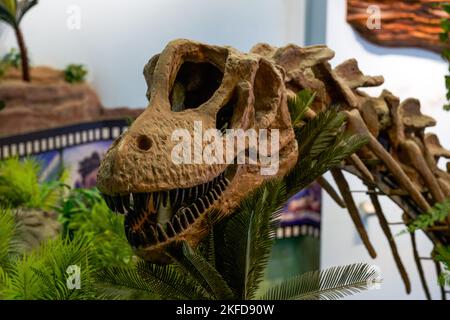 Dinosaurier-Fossilien aus der Nähe in der Antike Stockfoto