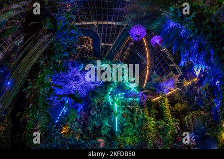 Avatar – das Erlebnis im Clouds Forest, Gardens by the Bay, Singapur. Stockfoto