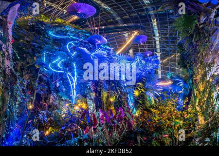 Avatar – das Erlebnis im Clouds Forest, Gardens by the Bay, Singapur. Stockfoto