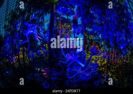 Avatar – das Erlebnis im Clouds Forest, Gardens by the Bay, Singapur. Stockfoto