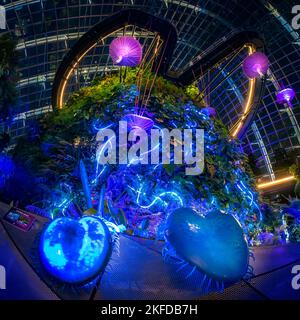 Avatar – das Erlebnis im Clouds Forest, Gardens by the Bay, Singapur. Stockfoto