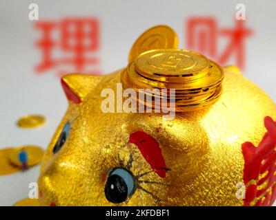 SUQIAN, CHINA - 18. NOVEMBER 2022 - finanzielle Illustration: Fund Management, Suqian City, Jiangsu Province, China, 18. November, 2022. Stockfoto