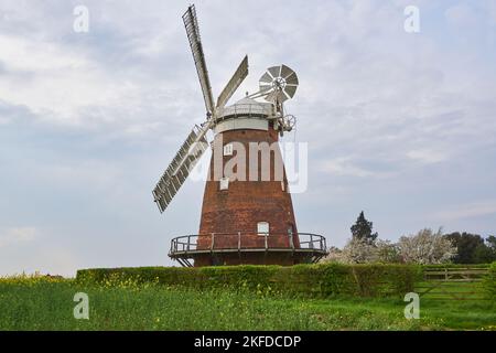 John Webb's Windmill oder Lowe's Mill in Thaxted, Essex, Großbritannien, auf dem englischen Land Stockfoto