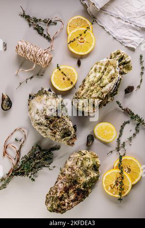 Frische pazifische Austern auf hellem Hintergrund. Zitrone und Orangano. Selektiver Fokus. Vertikale Aufnahme. Draufsicht Stockfoto