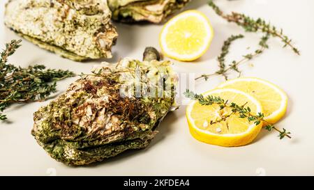 Lebensmittelbanner. Nahaufnahme frischer pazifischer Austern auf hellem Hintergrund. Zitrone und Orangano. Selektiver Fokus. Stockfoto