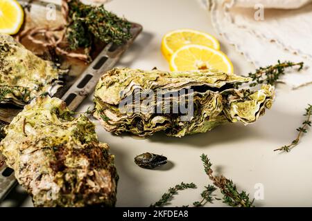 Nahaufnahme frischer pazifischer Austern auf hellem Hintergrund. Zitrone und Orangano. Selektiver Fokus. Stockfoto